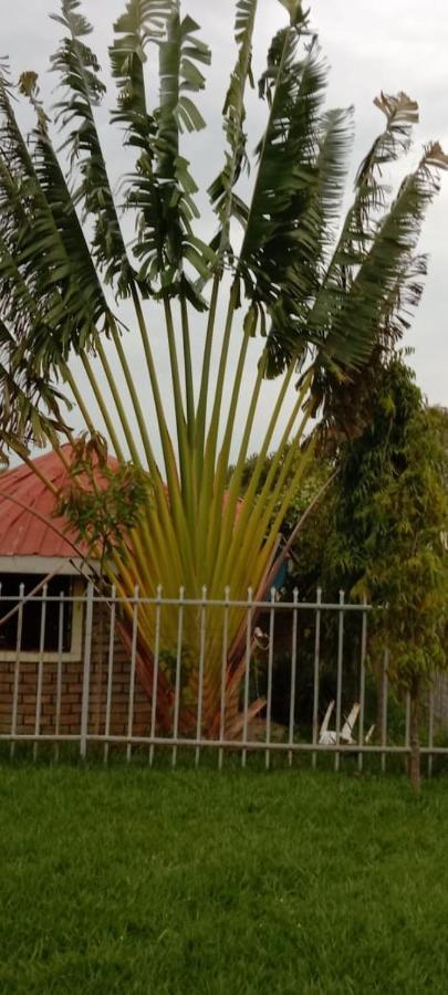 Zion Resort Bungoma エクステリア 写真